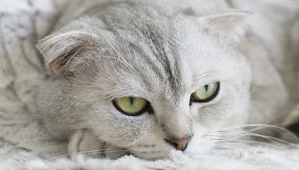 荆门伴游，定制QQ：3494206190微信：act1322